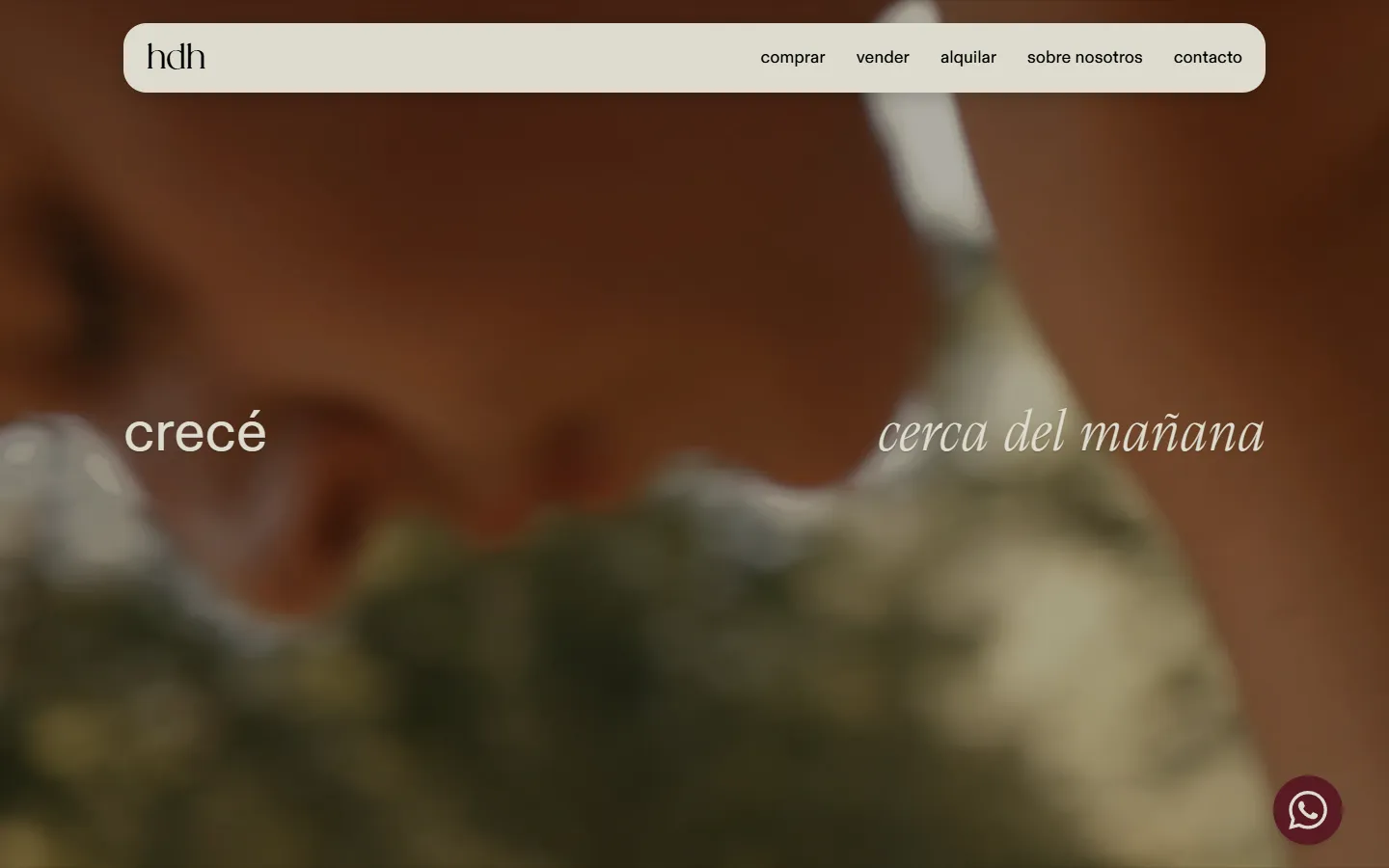 HDH Bienes Raíces, home page